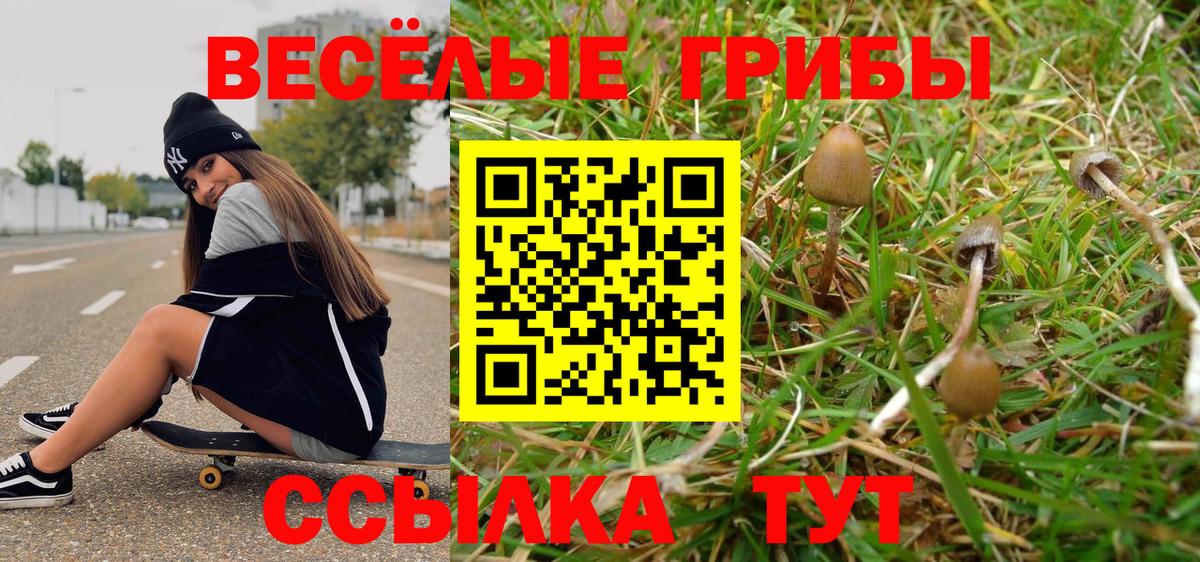 Галлюциногенные грибы Cubensis Ярцево