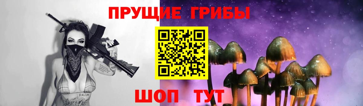 Галлюциногенные грибы GOLDEN TEACHER  Вход с VPN  Ярцево 